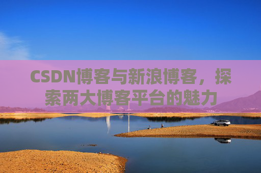 CSDN博客与新浪博客,探索两大博客平台的魅力